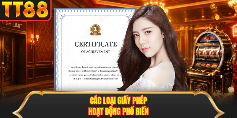 Các loại giấy phép hoạt động phổ biến