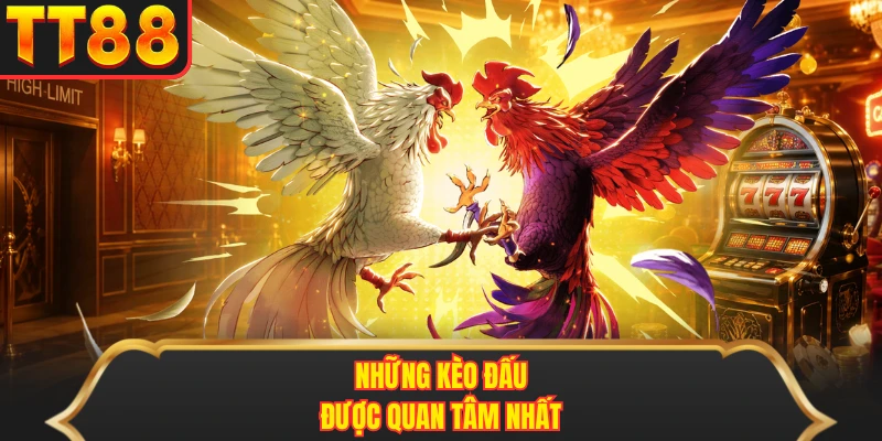 Những kèo đấu được quan tâm nhất